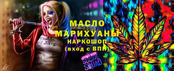 гидра Новодвинск