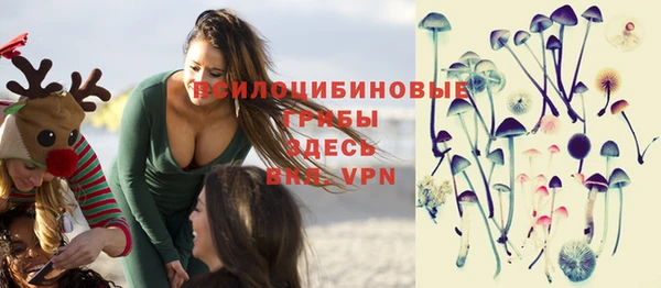ешки Абинск