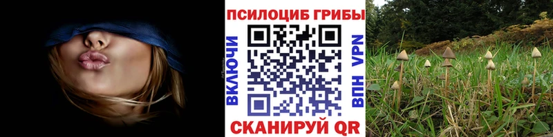 Галлюциногенные грибы GOLDEN TEACHER Тимашёвск